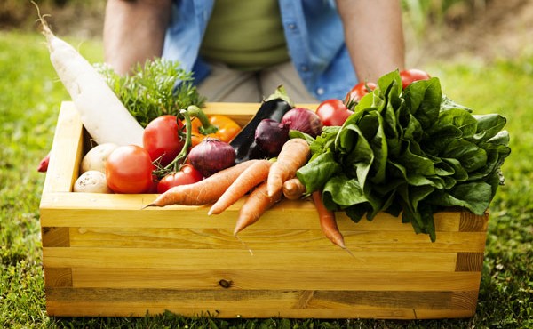 Alimentazione sostenibile: 10 consigli per mangiare green